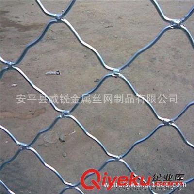 廠家直銷東北地區.圈玉米美格網.圈棒子美格網,美格網價格-安平縣威銳金屬絲網制品提供廠家直銷東北地區.圈玉米美格網.圈棒子美格網,美格網價格的相關介紹、產品、服務、圖片、價格安平縣威銳金屬絲網制品、鐵絲網;護欄網;隔離柵;防護網;牛欄網;荷蘭網;軋花網;草原網;勾花網;刀片刺繩網;防風抑塵網;沖孔網;建筑網片;美格網;鋼板網;鐵藝護欄網;鋼格板;不銹鋼網;石籠網;礦篩網