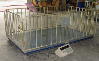 養(yǎng)雞場(chǎng)5T家禽稱重秤工廠直銷-產(chǎn)品報(bào)價(jià)-上海實(shí)干實(shí)業(yè)